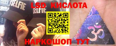 прущие грибы Абакан