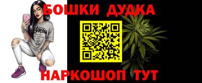 прущие грибы Абакан