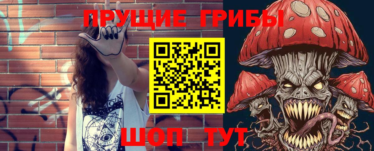Абинск  Псилоцибиновые грибы GOLDEN TEACHER  Вход с VPN  Галлюциногенные грибы Psilocybine cubensis 
