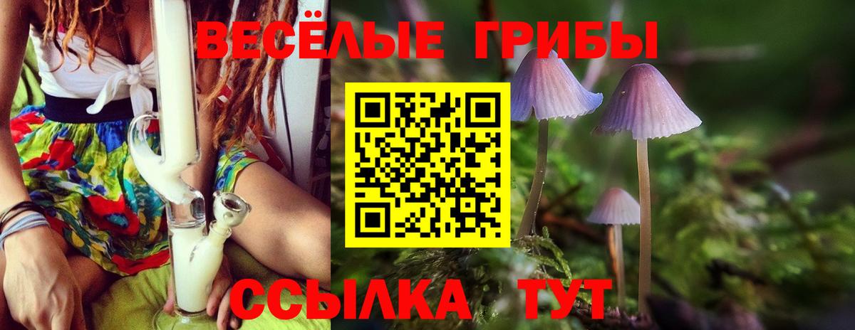Псилоцибиновые грибы мухоморы Абинск
